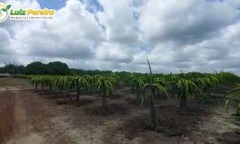 Imagem 5: FAZENDA Á VENDA EM PARAGOMINAS - PA - 13.068 HECTARES (DUPLA APTIDÃO