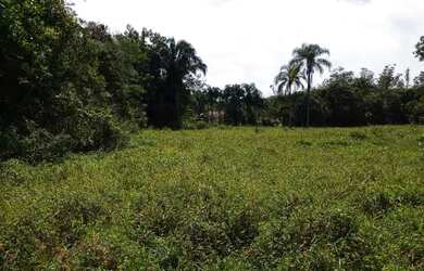 Imagem 3: 47.000 m2-R$ 390.000,00 urbano escriturado em Pariquera-Açu