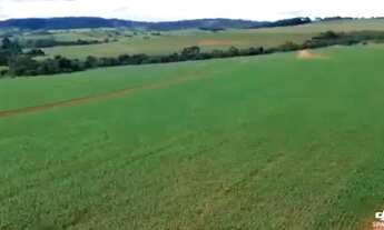Imagem 5: R$95 Milhões Fazenda de 333 alqueires em Itauçu-Go