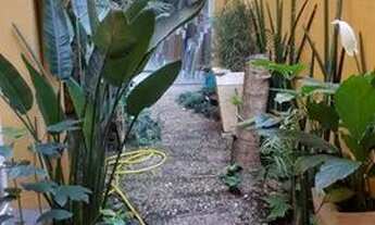 Imagem 7: SOBRADO - JARDIM PAULISTANO - SP