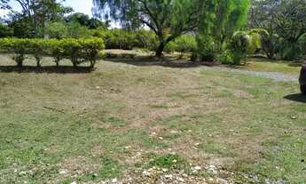 Imagem 5: Chácara Chácara com venda por R$400.000