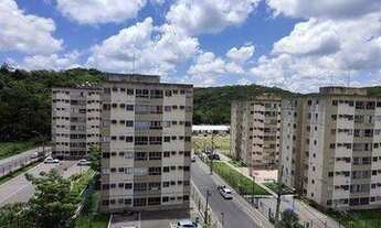 Imagem 5: Aluguel Reserva São Lourenço 6 andar com Armários Cozinha