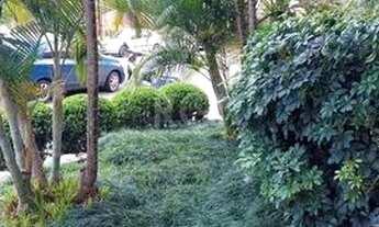 Imagem 4: Conjunto/Sala em Menino Deus