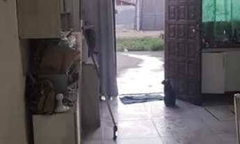 Imagem 5: Vendo casa! Casa com 2 dormitórios