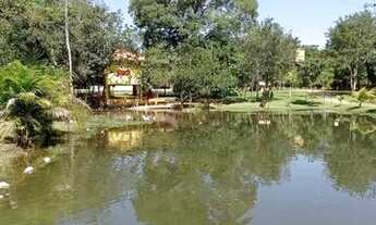 Imagem 2: Chácara luxo de 1.5 alqueires em Itaberaí-Goiás