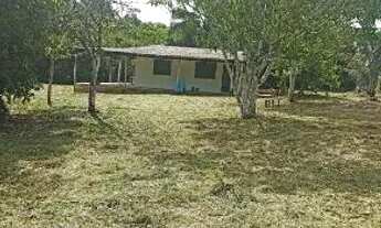 Imagem 7: Lindo sítio na estrada de Autazes km 11 ramal asfaltado a 2.5km de distância da AM 254