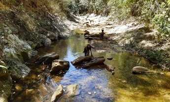 Imagem 4: Fazenda a venda em Sobradinho dos Melos