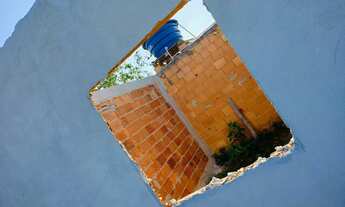 Imagem 6: Vendo lindo terreno todo murado de tijolo de bloco com frutas e com pequena casa meia agua