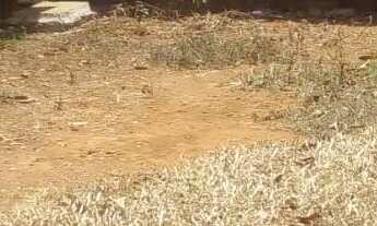 Imagem 4: Terreno 600² 12x50