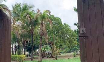 Imagem 3: Chácara à venda, 7000 m² por R$ 780.000,00 - Vila Azul (Zona Rural) - São José do Rio Pret