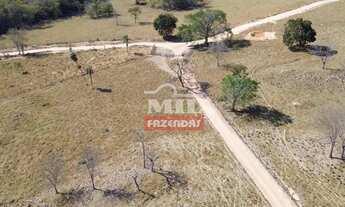 Imagem 7: Fazenda 17.3 Alqueires (83,72 Hectares ) Cezarina - Go