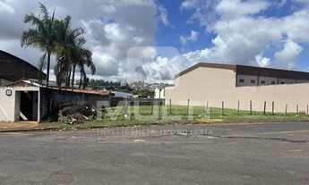 Imagem 5: Terreno - DANIEL FONSECA