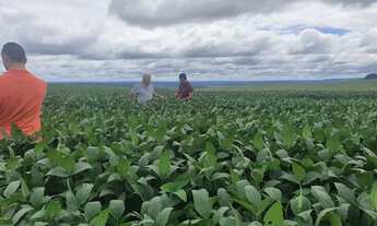 Imagem 5: R$120 milhões Fazenda de 627 alqueires em Serranopolis-GO