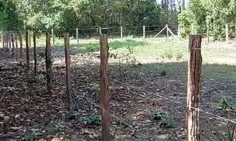 Imagem 7: VENDE-SE EXCELENTE TERRENO RIO PRETO EVA - PROX. RODOVIA AM 010