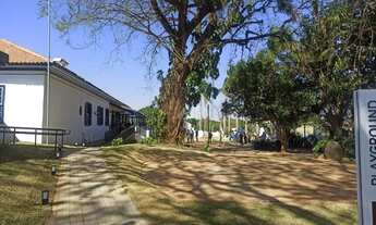 Imagem: Terreno - Alphaville Dom Pedro - Campinas