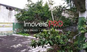 Imagem 5: Galpão, Vila Alexandria - São Paulo