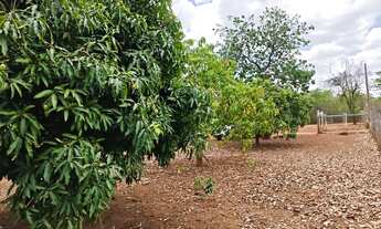Imagem 2: Chácara 5.000M2 na Região de Glaucilândia