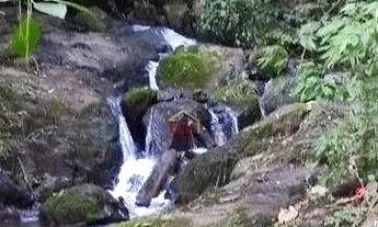 Imagem 7: Sítio com 2 dormitórios à venda, 63000 m² por R$ 4.400.000,00 - Santa Barbara (São Francis