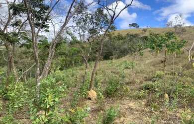 Imagem 7: Terreno rural 10ha, com barracão, com riacho no fundo, bela vista, Jaboticatubas