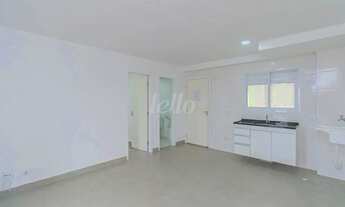 Imagem 3: Apartamento 1 quartos para alugar no(a) Vila Bela