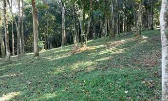 Imagem 7: Terreno no Bairro dos Fincos em São Bernardo do Campo