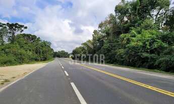 Imagem: Área Rural a venda na Lapa Rod. BR 476