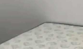 Imagem: Oportunidade no PERO para investidor. 1500,000