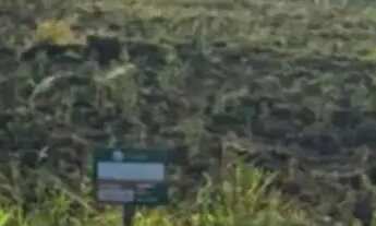 Imagem: Terrenos dentro de condominio com topografia