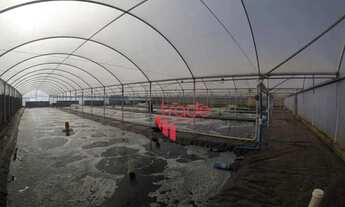 Imagem: Amplo Sítio à Venda na Cidade de São