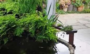 Imagem 3: Vendo casa de 05 quartos sitio gama