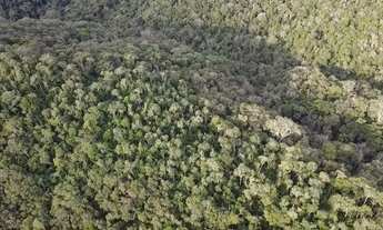 Imagem 4: Chácara 63.000 m em Campo Magro- Paraná