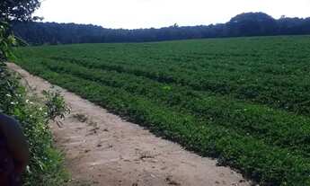 Imagem 7: Sitio em batatais 18 alqueires 6.000.000.00 ( v