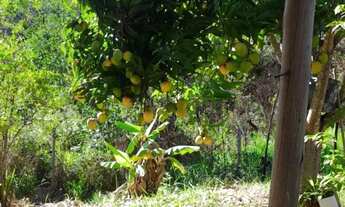 Imagem 3: Vende-se chácara