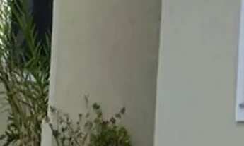 Imagem 6: Térrea para venda tem 82 metros quadrados com 3 quartos em Capuava - Goiânia - GO