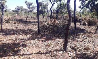 Imagem 3: VENDO!!! Um terreno bruto com 1.020 M² no loteamento gratidão, somente 12 km da