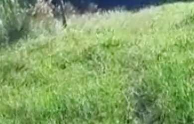 Imagem 5: Lote em Rua Guarani - Centenário - Sapiranga/RS