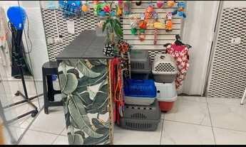 Imagem 4: Aluga se espaço para pet shop