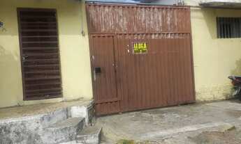 Imagem: Alugo apartamento no bairro nordeste