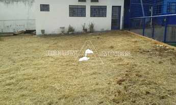 Imagem 3: Terreno em Palma Travassos - Ribeirão Preto