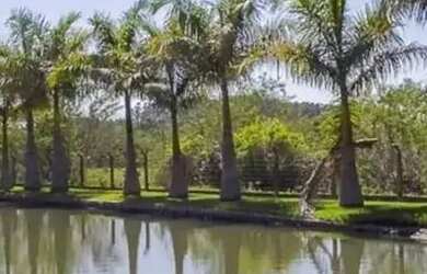 Imagem 3: CAUE IMOVEIS VENDE Belíssima Sítio de 4000m2 em Águas Claras ViamãoRS!!!