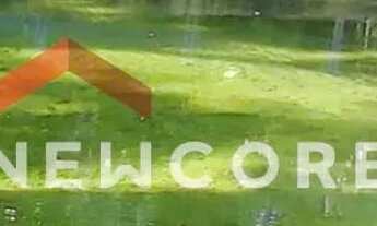 Imagem 4: Lote em Rua das Guajuviras - Park Imperial - Caraguatatuba/SP