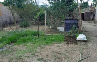 Imagem 5: Vendo casa quitada há 8 km do gama