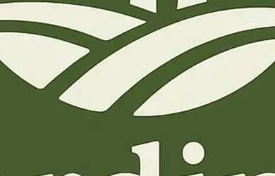 Imagem 2: Jardim Canon II Terreno Plano de 1000 m² com Documentação 100% Regularizada