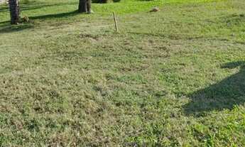 Imagem 5: TE2582) Terreno no Jardim das Palmeiras, Santo Ângelo, RS