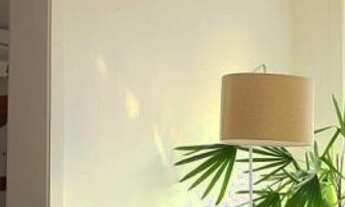 Imagem 7: Linda Cobertura na Rua Sá Ferreira #47784