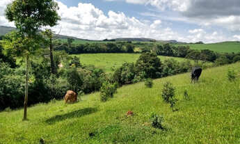 Imagem 6: Terreno com 3 hectares cod 11