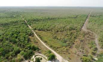 Imagem 4: Fazenda 500ha no Paraguai