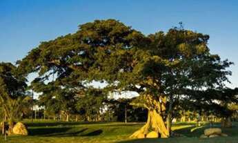 Imagem 2: Terreno no bairro Centro