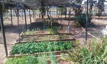 Imagem 7: Chácara com 2 dormitórios à venda, 819 m² por R$ 222.000,00 - Área Rural de Artur Nogueira