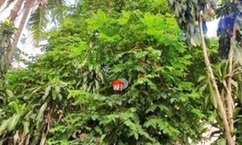 Imagem 6: Apartamento à venda, 37 m² por R$ 154.900,00 - Centro Histórico - Porto Alegre/RS